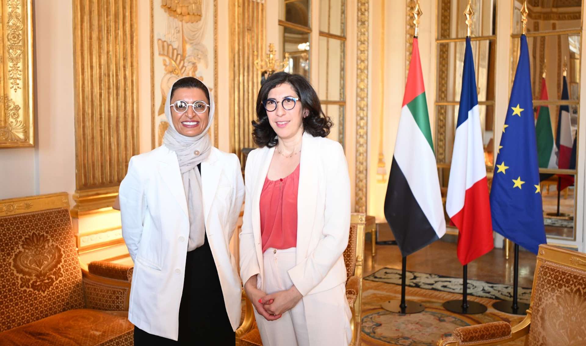 Future of cultural relations between UAE and France discussed